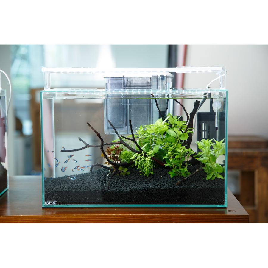 熱帯魚）（水草）飼育セット GEX ガラス水槽 グラステリア