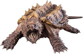 Amazon | BACALYSO | the soul of sculptor ワニガメ カメ 口をあける