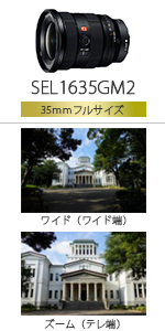 Amazon.co.jp: SONY(ソニー) 広角ズームレンズ フルサイズ FE 12-24mm